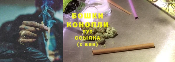 крисы Пестово