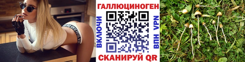 купить наркотики цена  кракен вход  Галлюциногенные грибы Magic Shrooms  Свирск 
